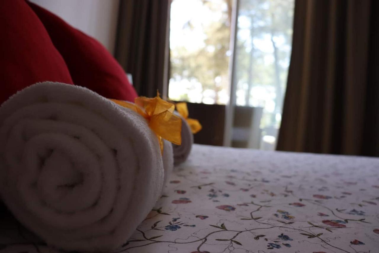 Barca House - Nature - Golf - Pool & Apartment Esposende