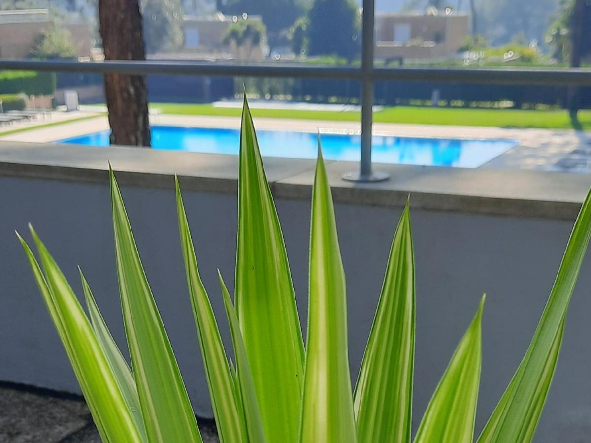 Barca House - Nature - Golf - Pool & Apartment Esposende